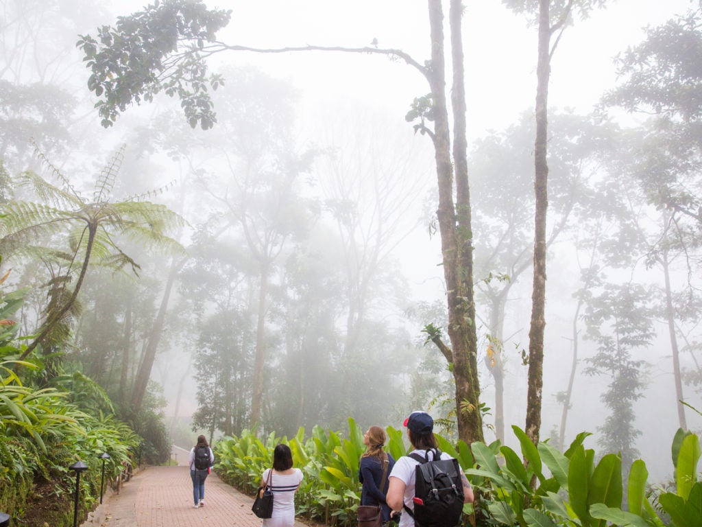 Students walking through a canopy in Costa Rica